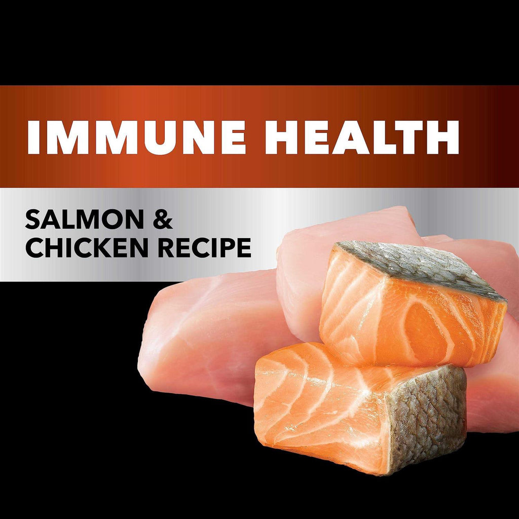Salmon Chicken Recipe Adult Dry Cat Food P81537