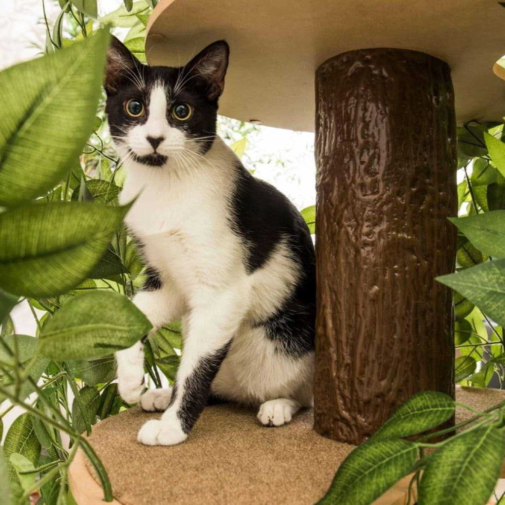 Cat Tree with Leaves Cat House G661