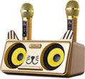 Portable Cat Karaoke Machine with 2 Wireless Microphones F279850