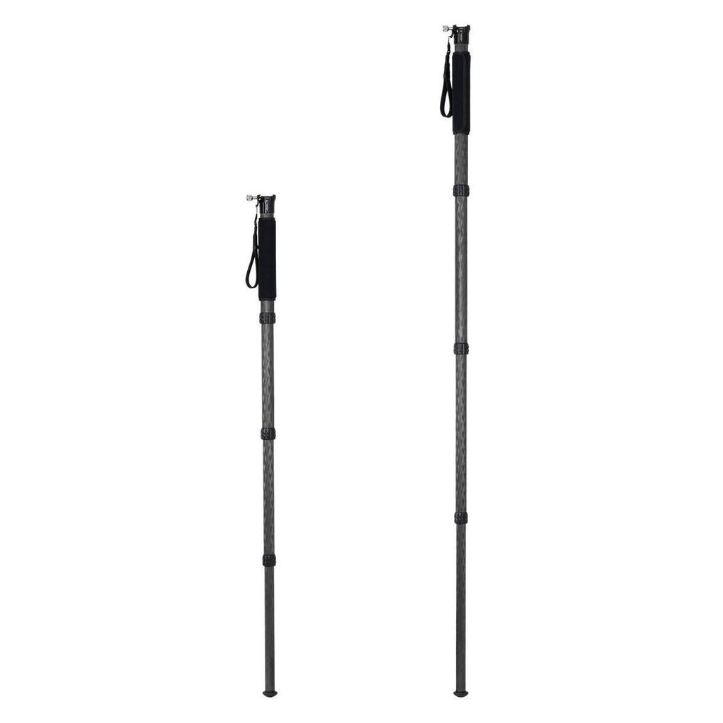 Carbon Fiber Monopod with Arca-Type Clamp Z20428