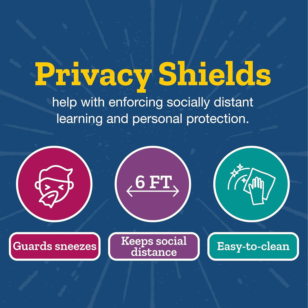 Set of 12 Matte Privacy Shields for Student Desks L769