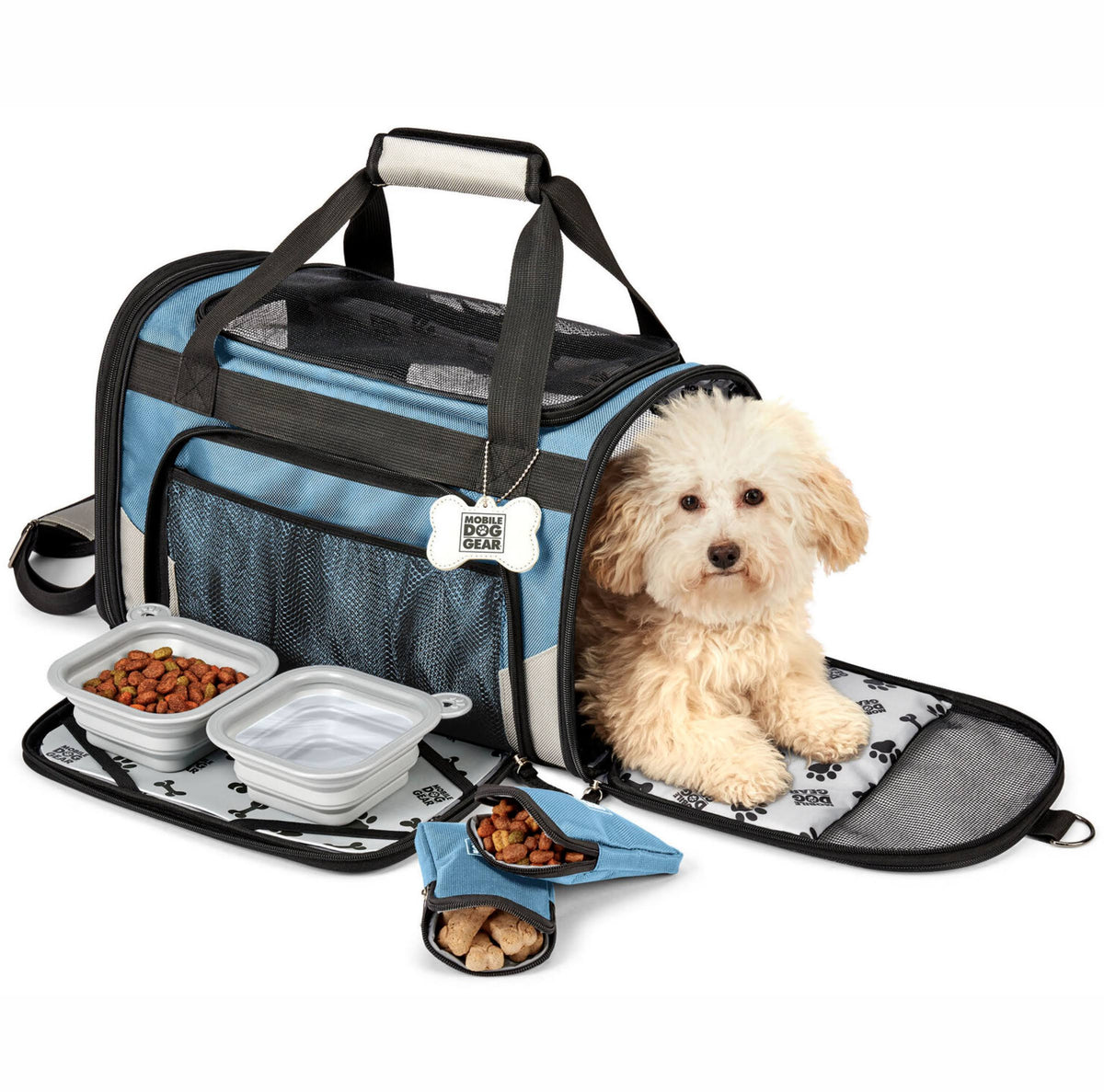 Blue Pet Carrier H6871
