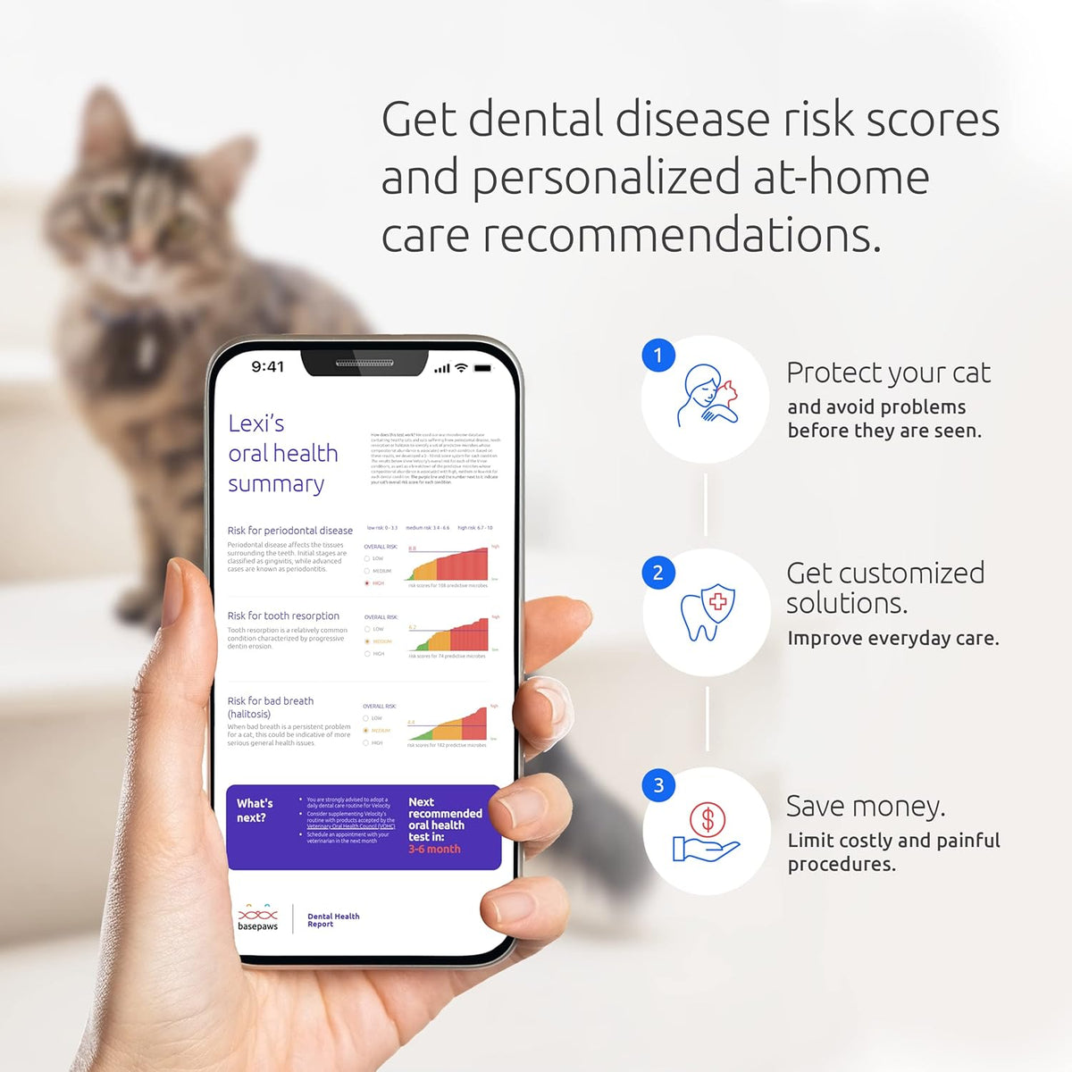 Cat Dental Health Test J31951