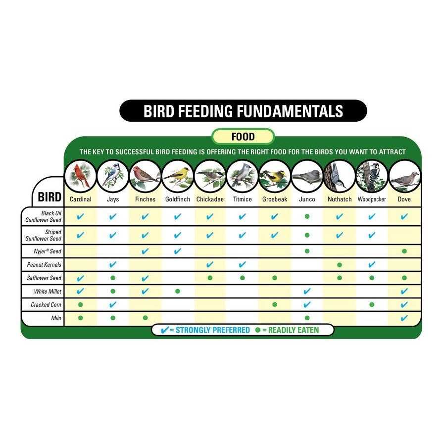 5 lb. Wild Bird Food B593