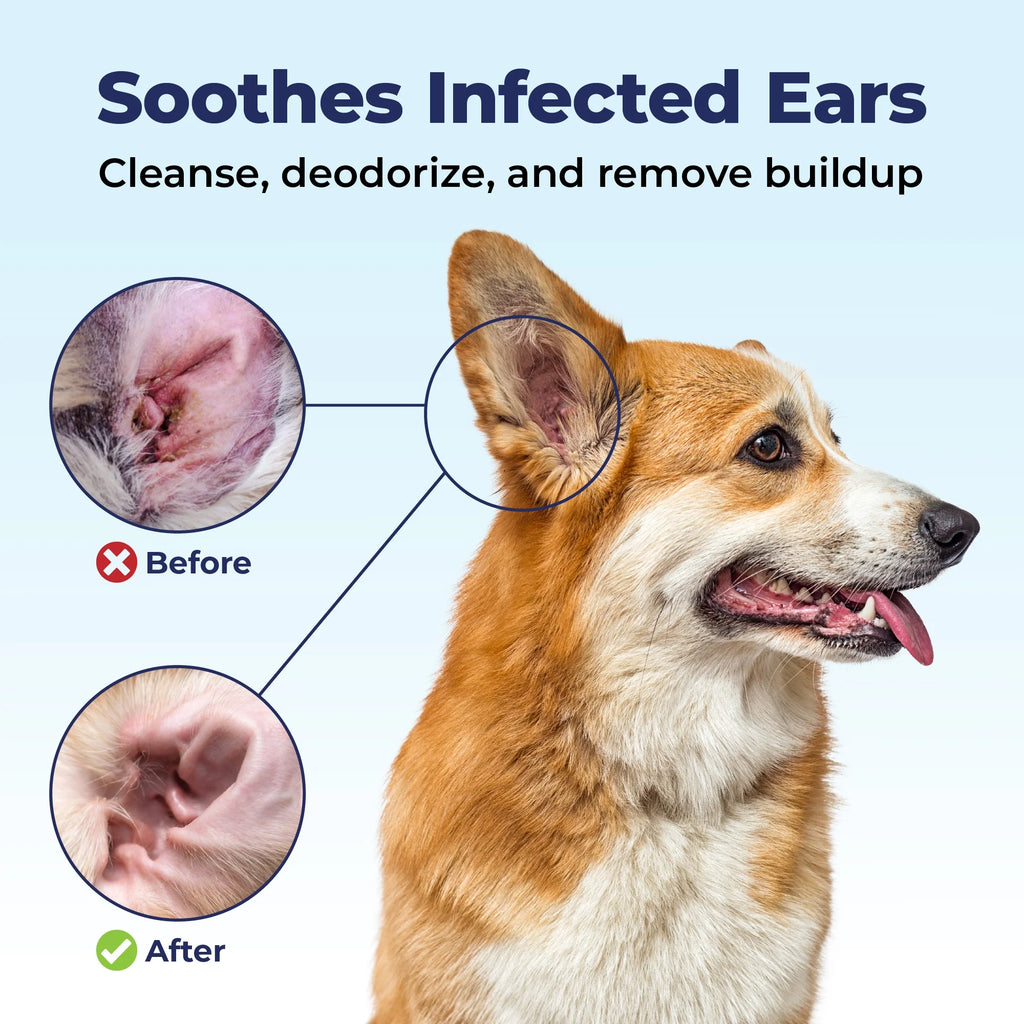 Medicated Chlorhexidine Ear Flush C393707