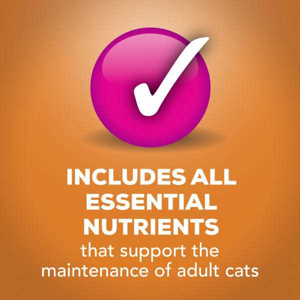 Wet Cat Food with Chicken in Gravy Z939700