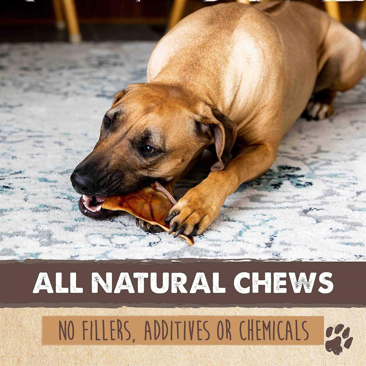 All Natural Dried Single Ingredient Dog Treats P1423