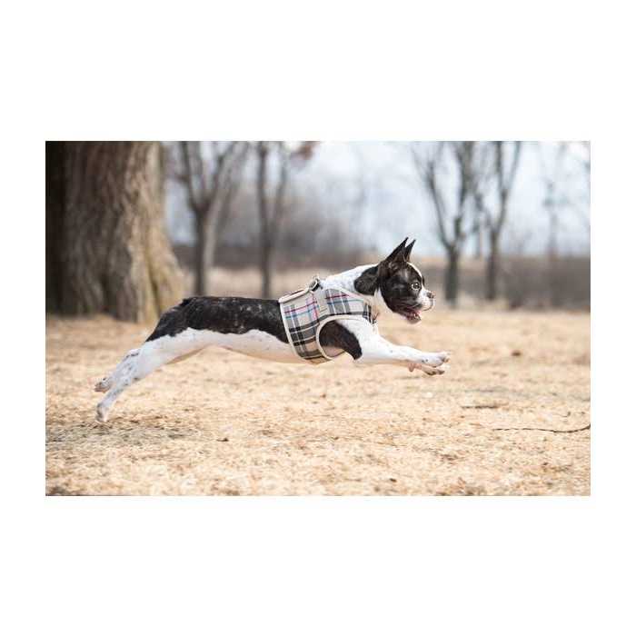 Dog Harness N151339