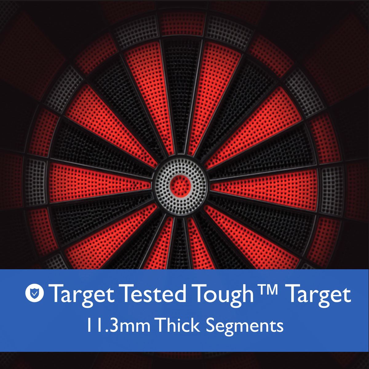 Electronic Dartboard L443