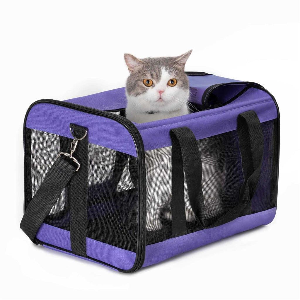 Soft-Sided Cat Carrier with Inner Safety Leash R357638