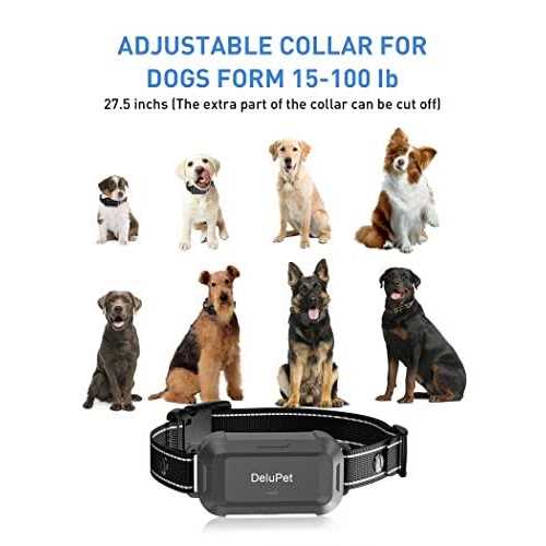 Dog Training Collar with Remote K81265