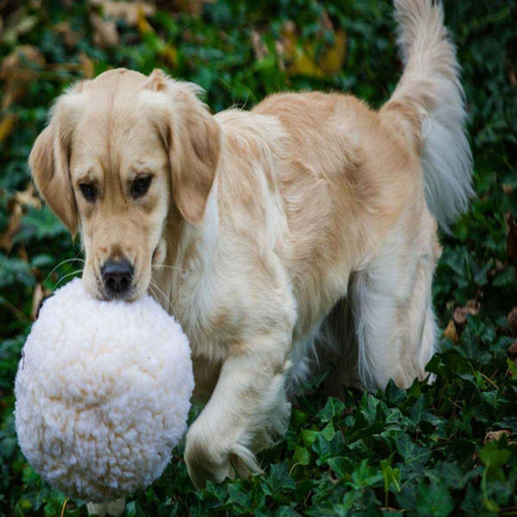 Fleece Ball Dog Toy U271078