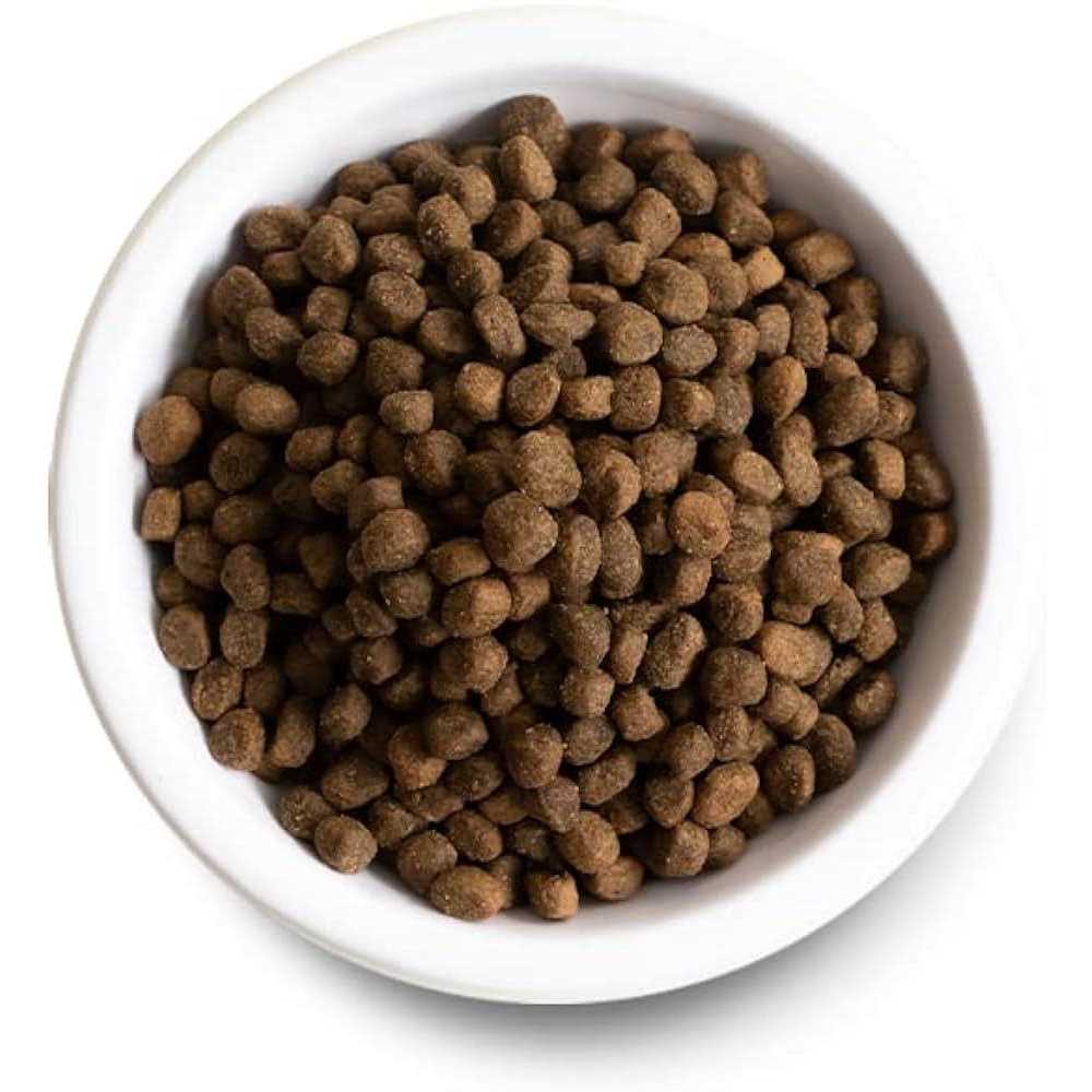 Pasture Raised Lamb Ancient Grains Dry Dog Food E56240