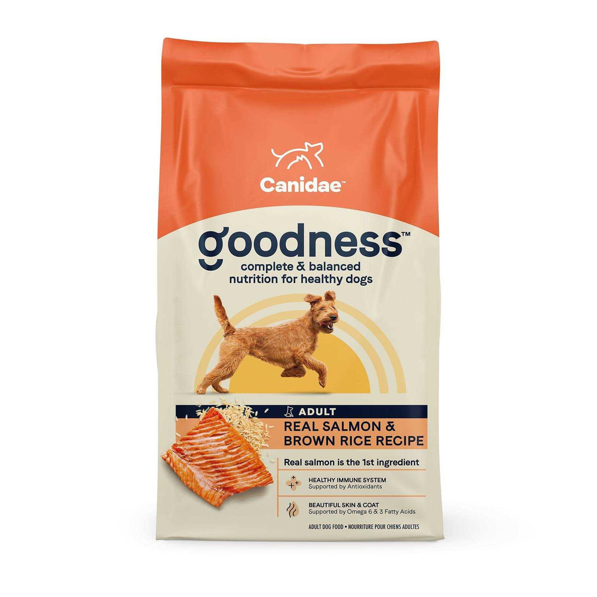 Salmon & Brown Rice Dry Dog Food I696846