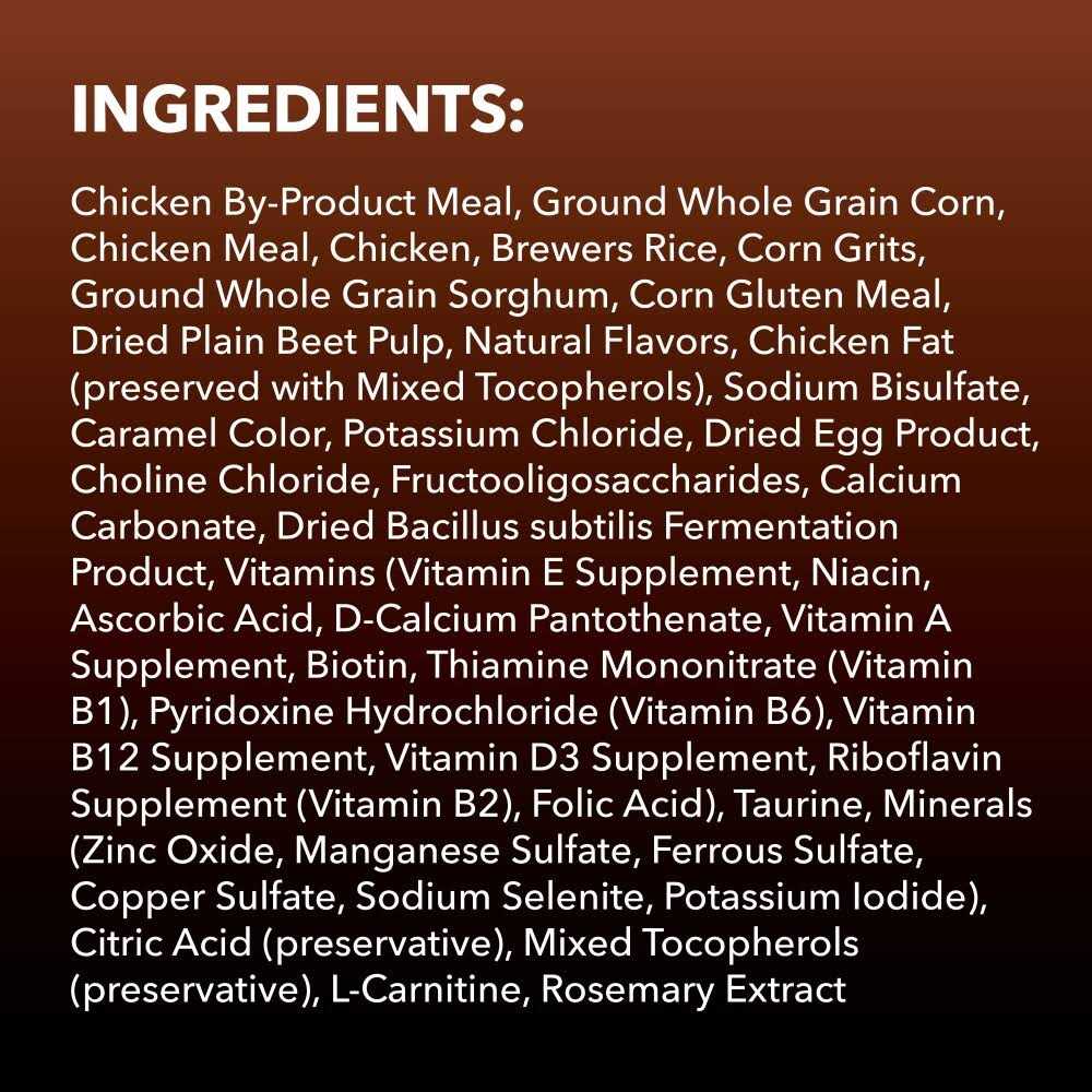 Salmon Chicken Recipe Adult Dry Cat Food P81537