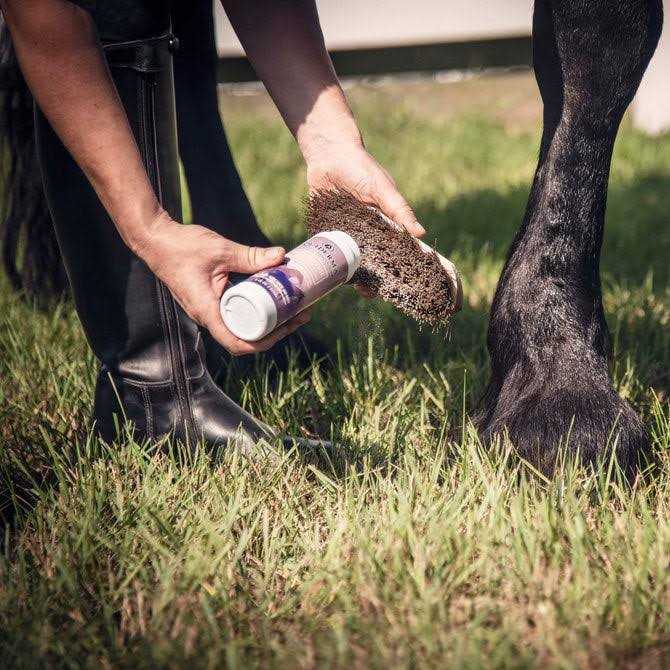 Dry Shampoo I7201