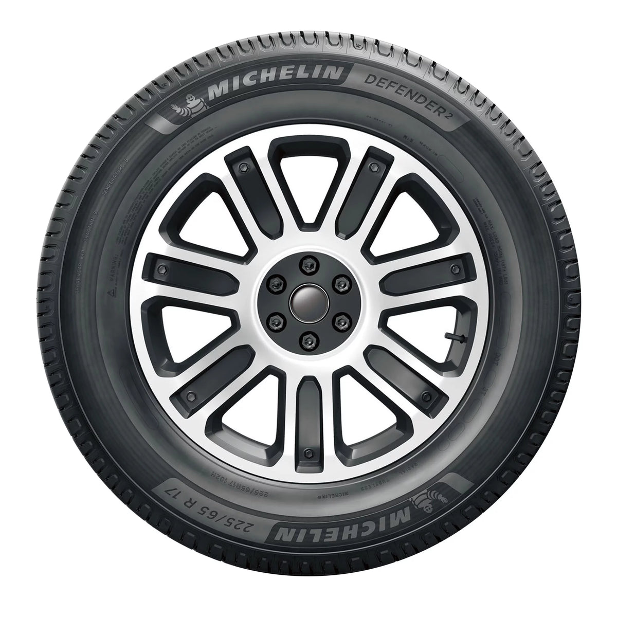 All Season P225/60R16 98H Passenger Tire P580