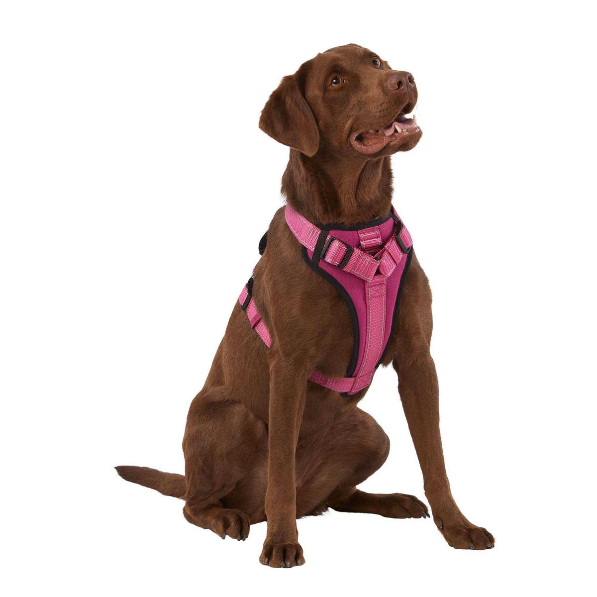 Neoprene Padded Dog Harness Z21343