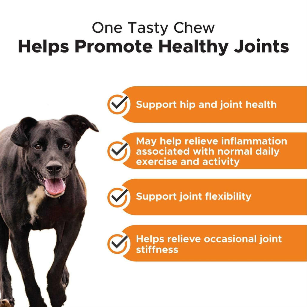 Dog Hip + Joint Health Turmeric Chews P826483