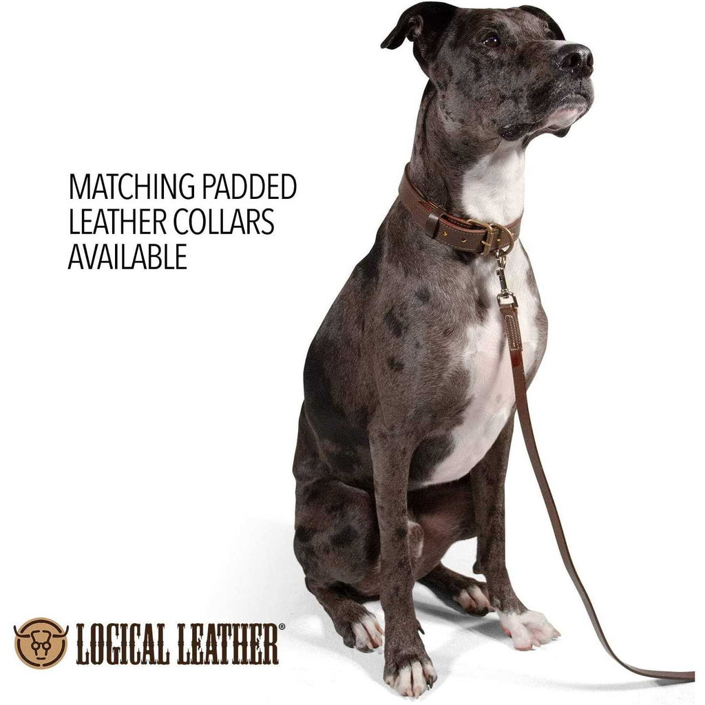 Leather Dog Leash W67646