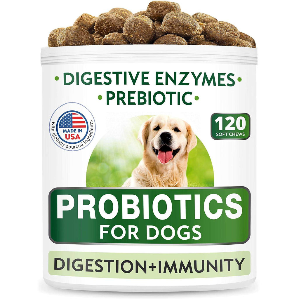 Probiotics For Dogs B5969