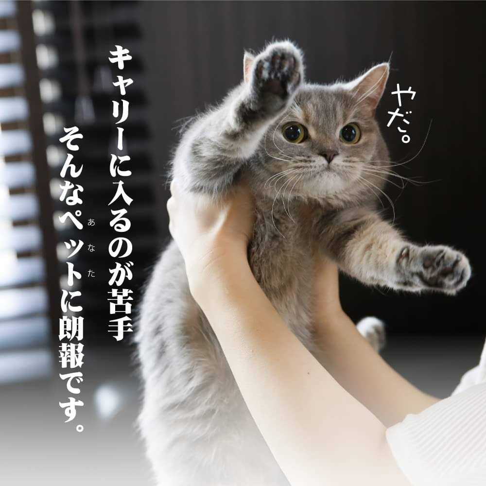 Cat Carrier with Drawer A451