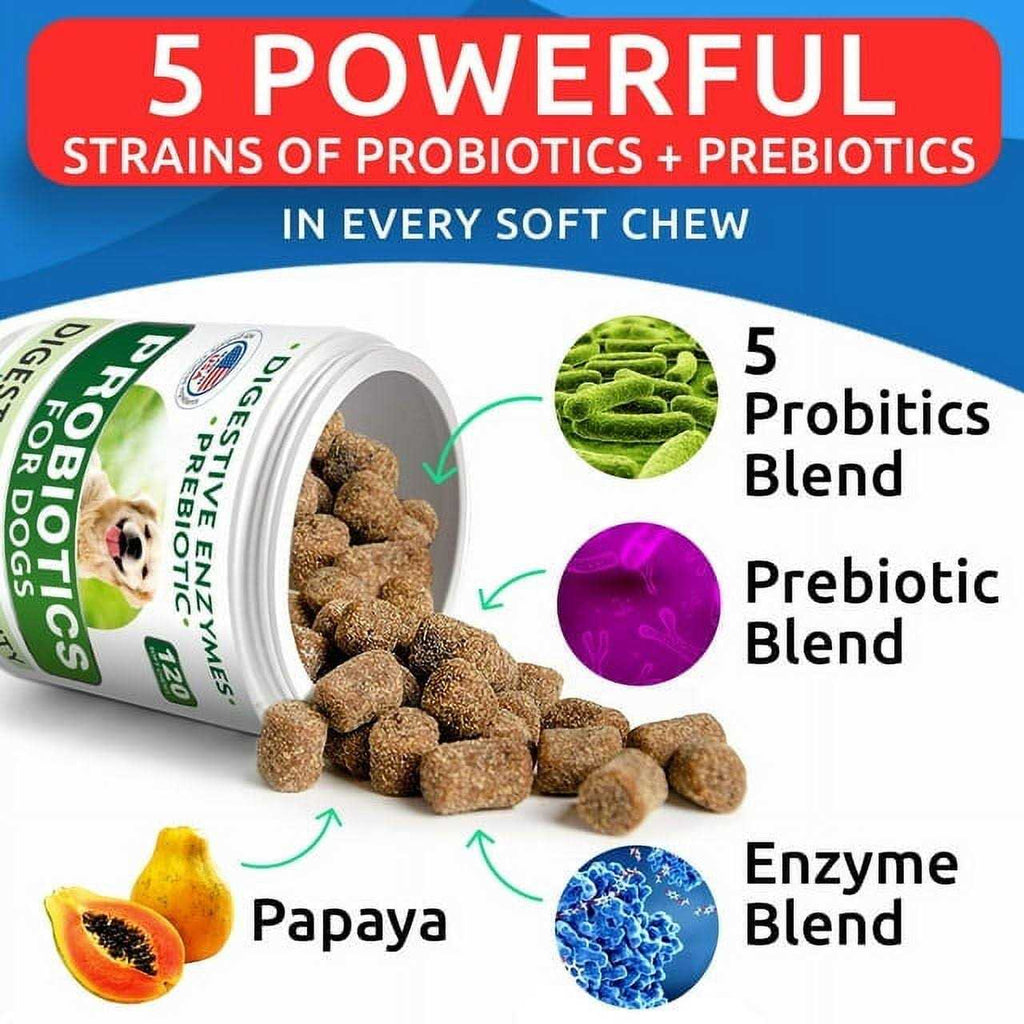 Probiotics For Dogs B5969