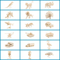 Puzzle Set R96107