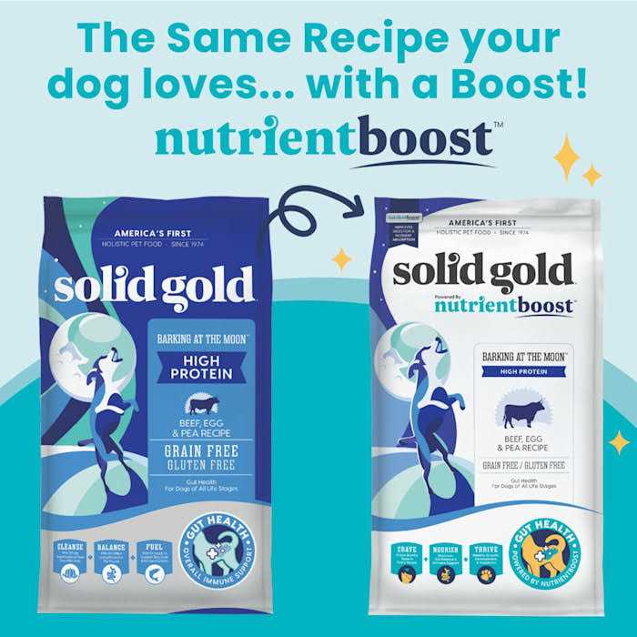 Grain-Free Beef Dry Dog Food Y578073