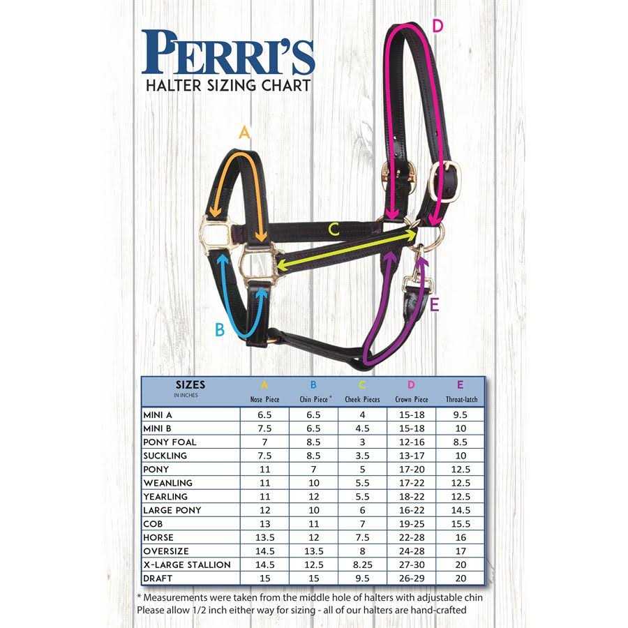 MSM Pet Supplies O830