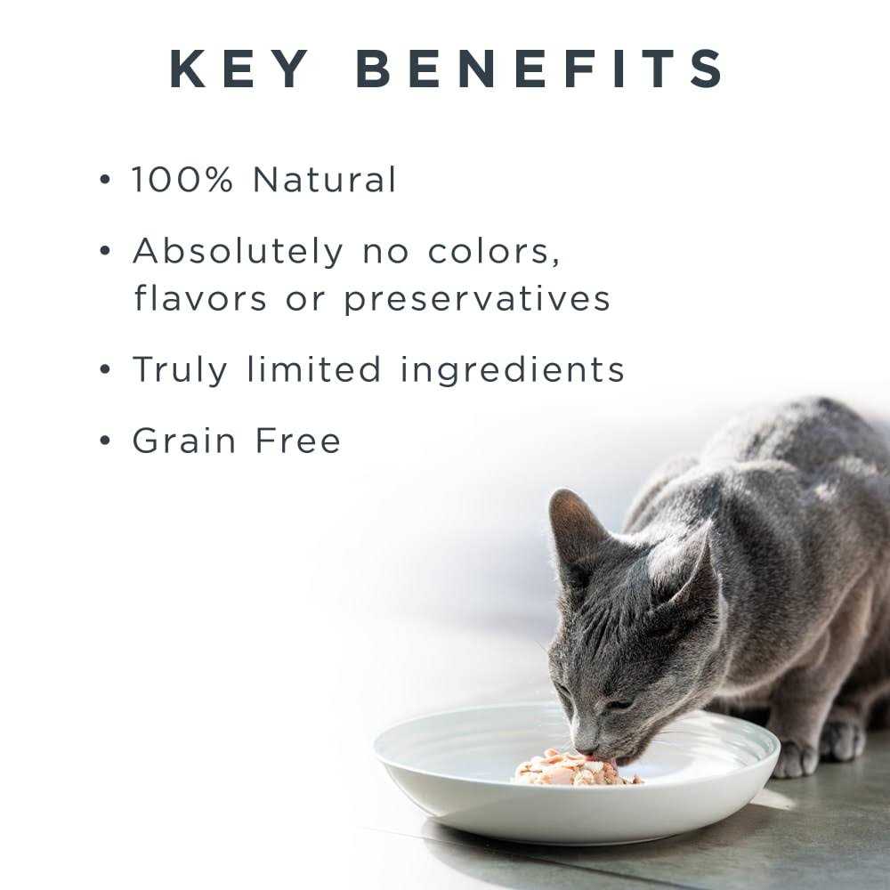 Grain Free Tuna Fillet Broth Wet Cat Food G384