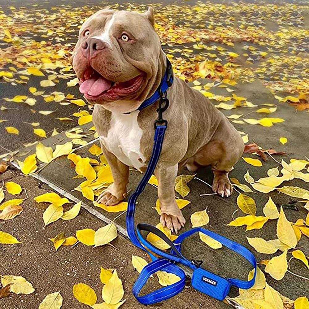 Reflective Dog Leash with Neoprene Handle, 5ft T128