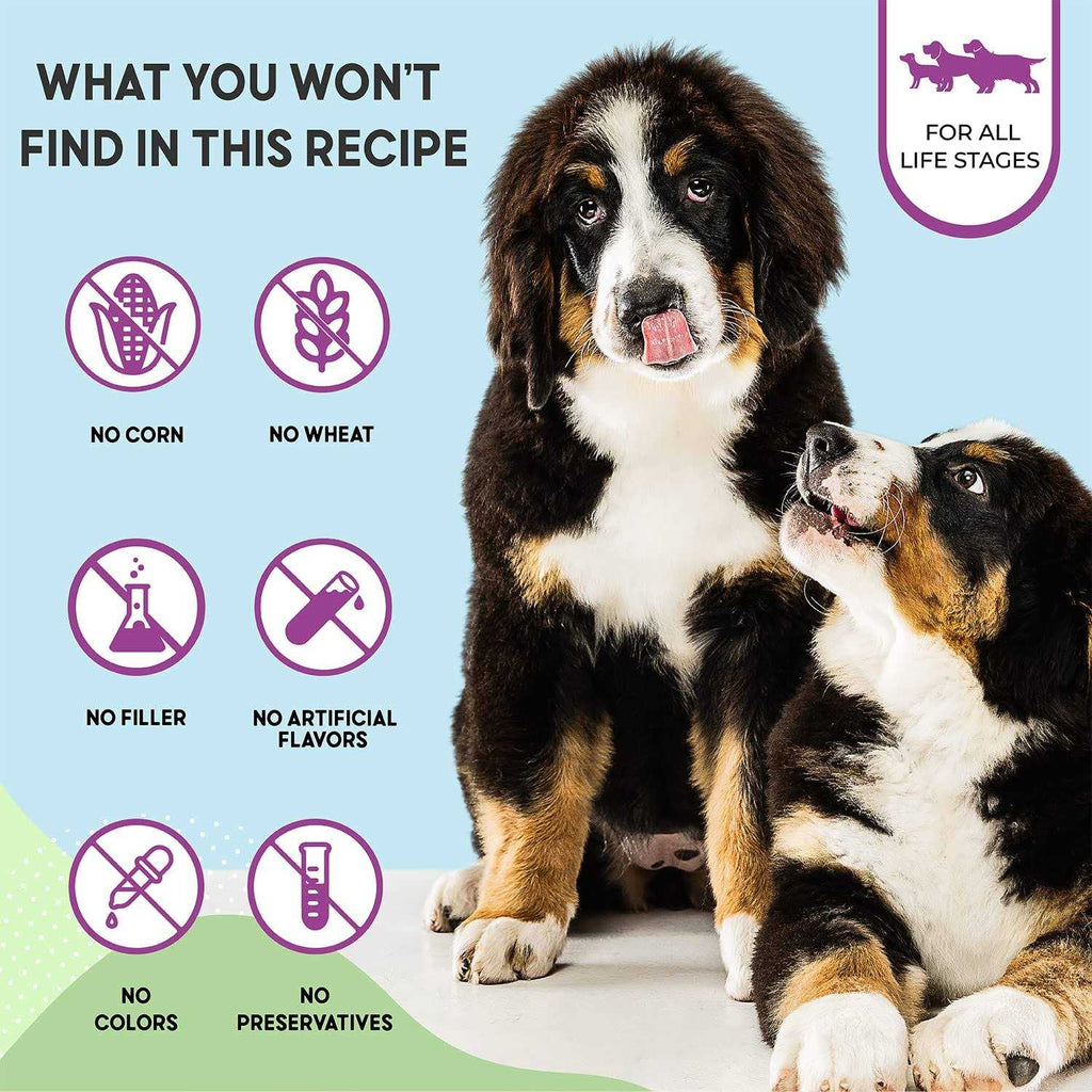 Chicken Brown Rice Dry Dog Food Y9161