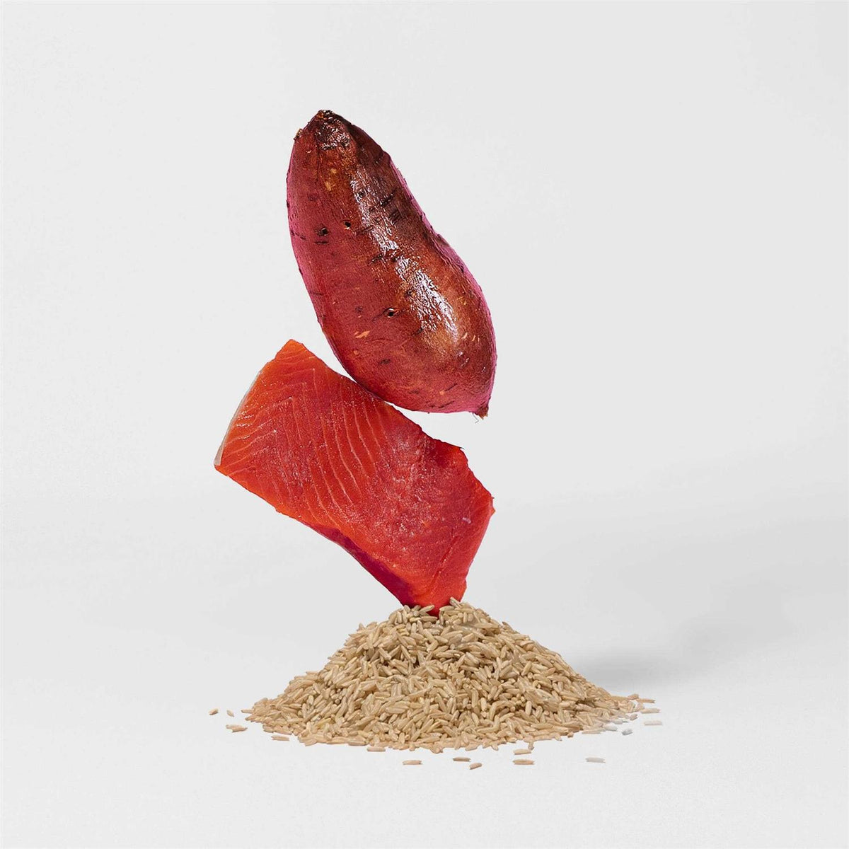 Salmon Brown Rice & Sweet Potato Dry Dog Food A4625