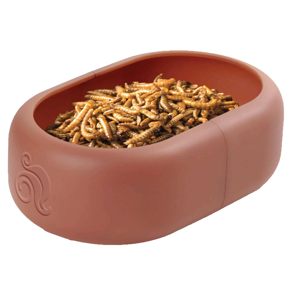 Smart Mealworm Reptile Feeding Dish K945