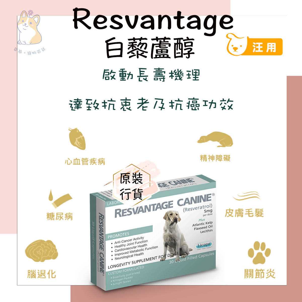 Pet Supplies C3739