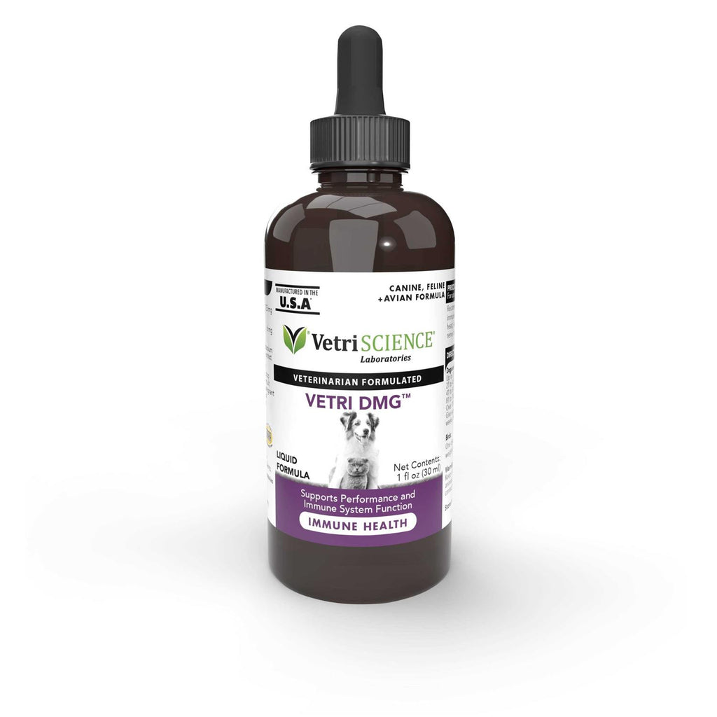 Vetri-DMG Liquid I650