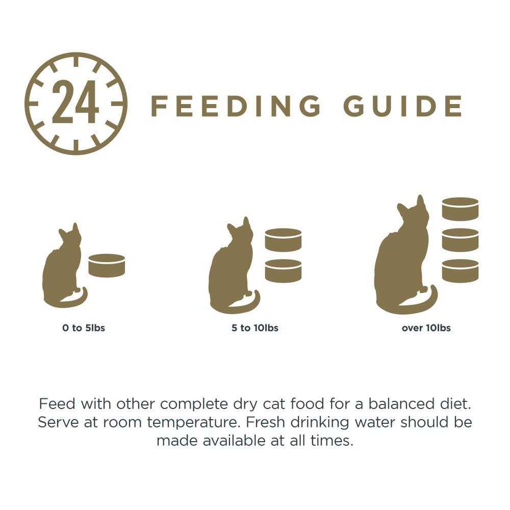 Grain Free Tuna Fillet Broth Wet Cat Food G384