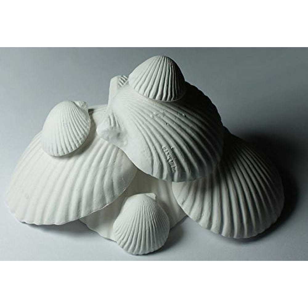 Shell N530355