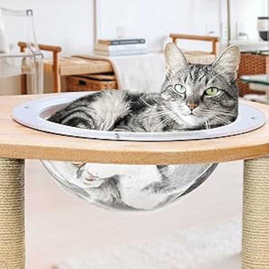 Acrylic Dome Dog Window for Fence I665