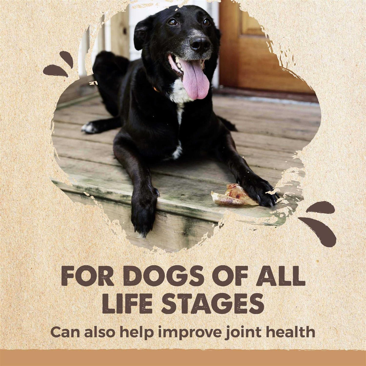 All Natural Dried Single Ingredient Dog Treats P1423