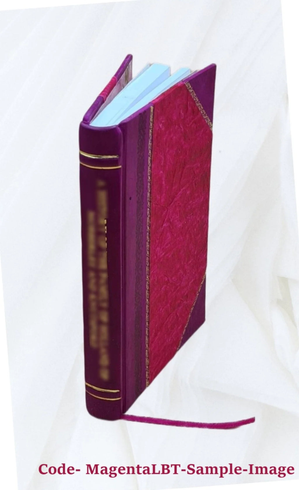 Rural Virginia Health 1900-1952 Leather Bound H311473