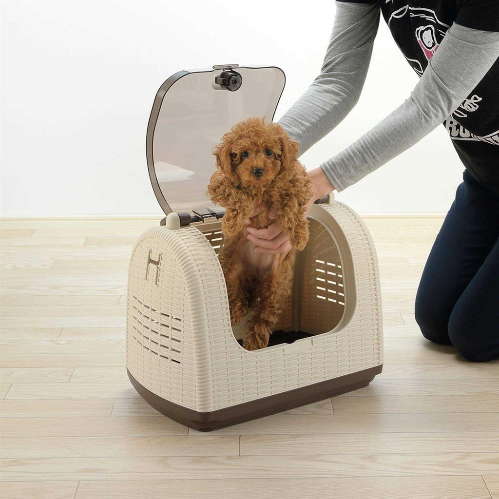 Faux Wicker Pet Carrier V3836