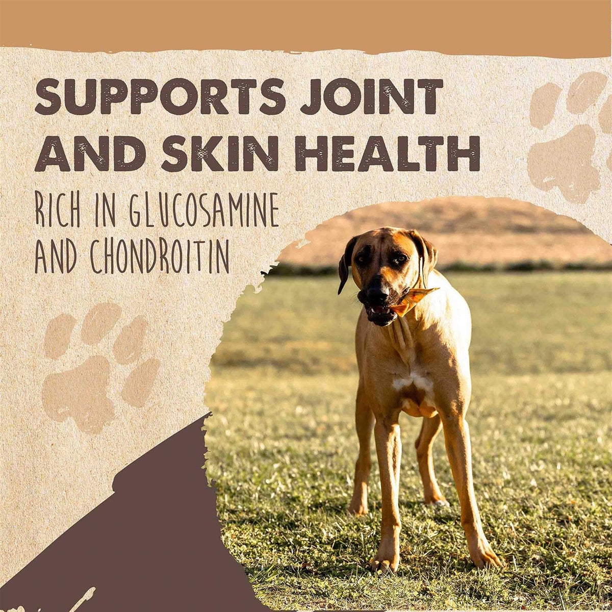 All Natural Dried Single Ingredient Dog Treats P1423