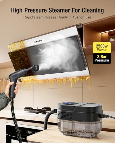 2500W Handheld Steam Cleaner V5456