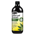 Olive Leaf Extract 1L I8351