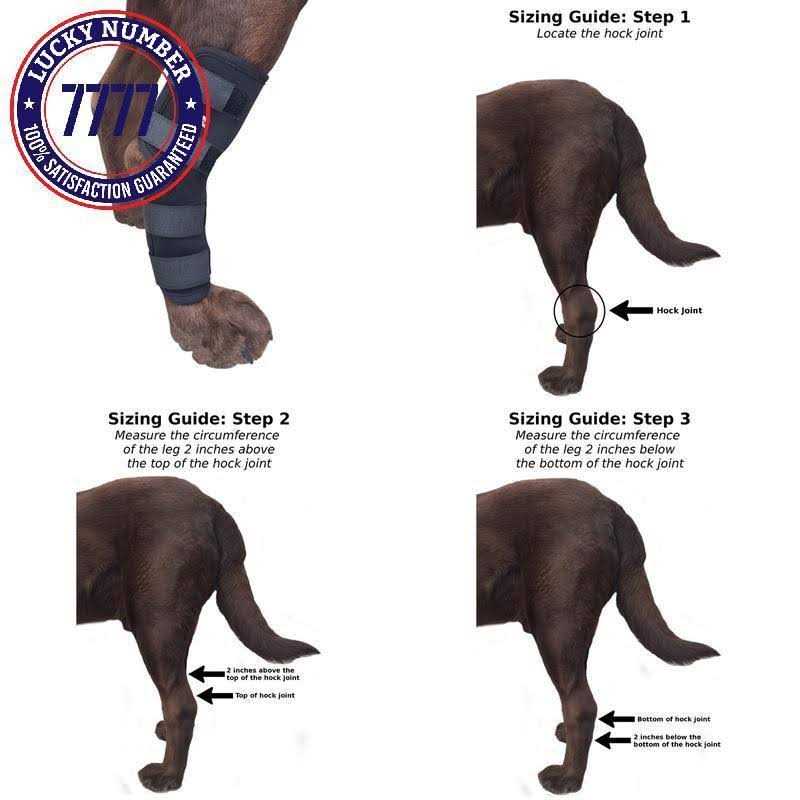 Dog Rear Leg Hock Joint Compression Wrap K1837