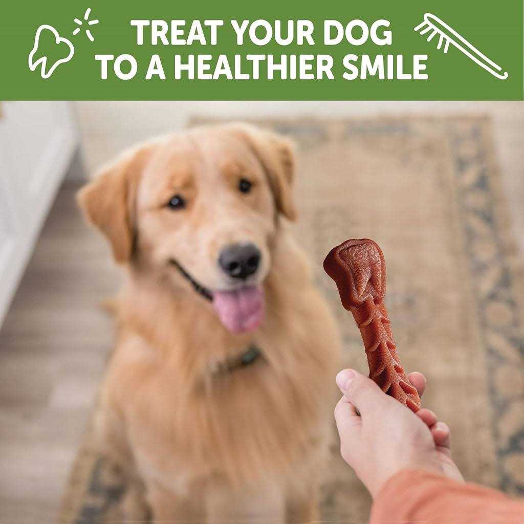 Natural Dental Dog Treats K916