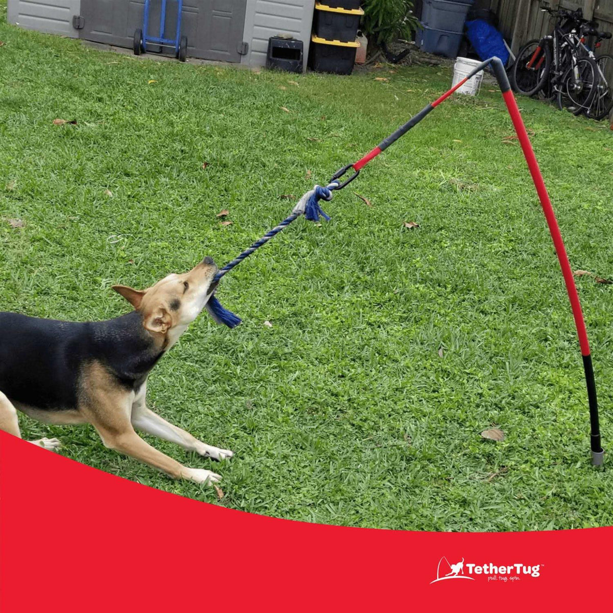 Dog Toy L645