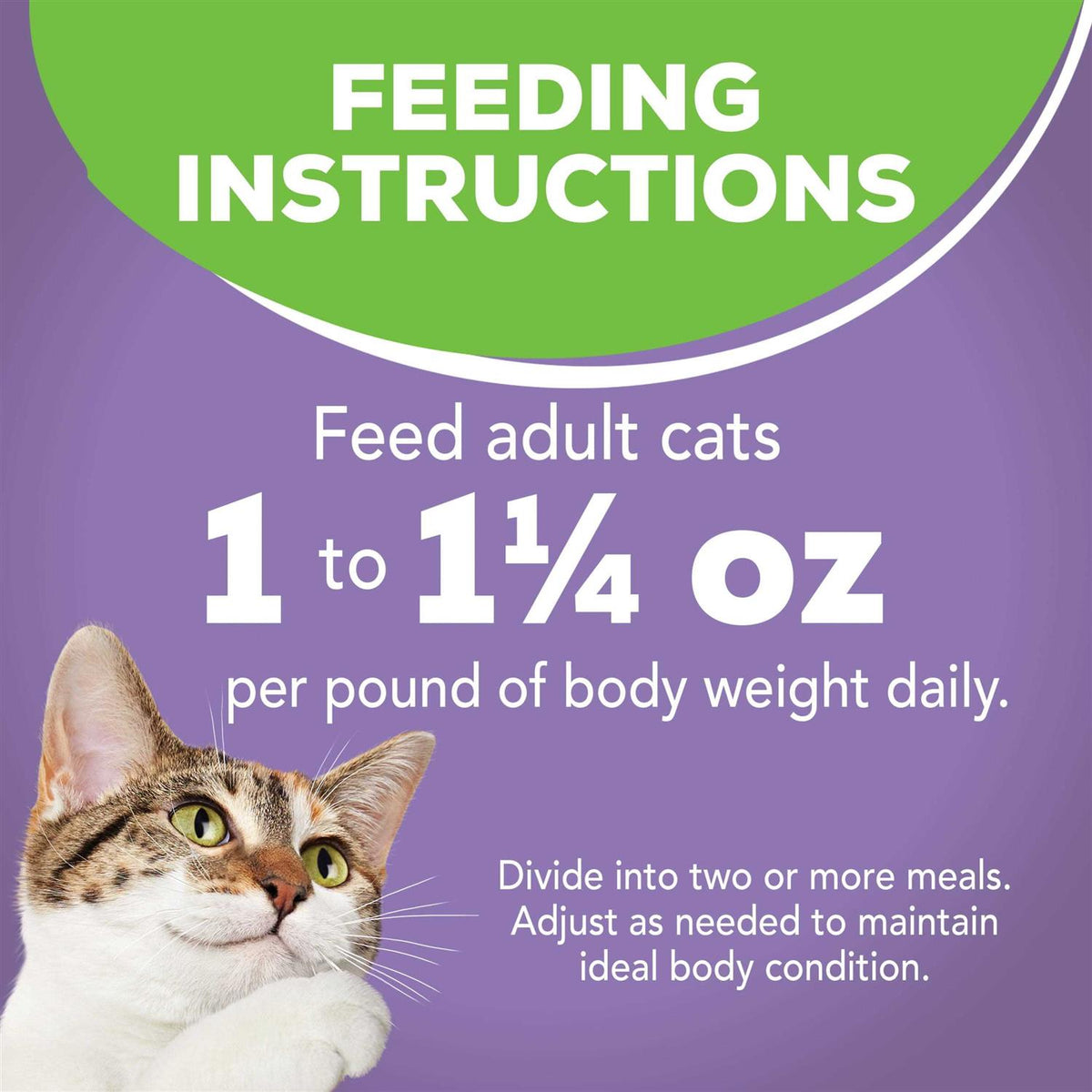 Turkey Dinner Wet Cat Food C38036